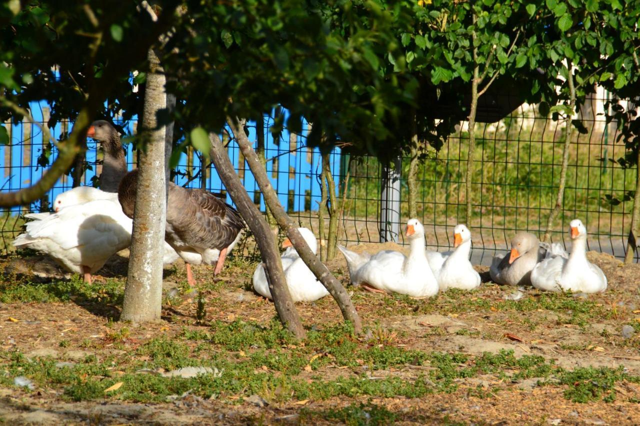 Alaguyauder le KOTA Bed & Breakfast Chatillon-sur-Broue Dış mekan fotoğraf